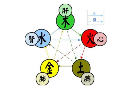 五行能量|五行（对万事万物的取象比类）